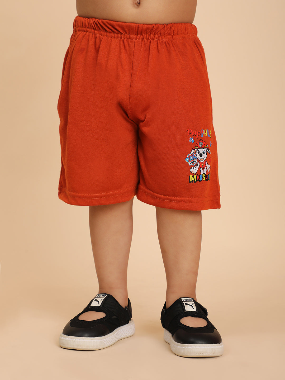 Cutiekins Boys Puppal Graphic Print T-shirt with Shorts -Rust & Off White